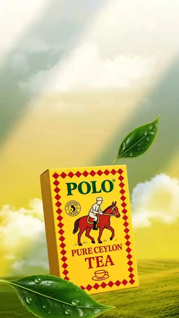 Polo Tea güneş ışığında